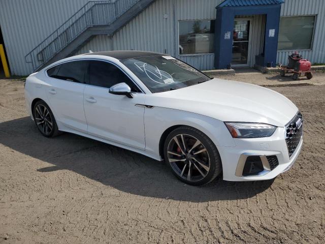 2020 AUDI S5 PRESTIG WAUB4CF57LA013499
