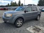 HONDA PILOT EXL photo