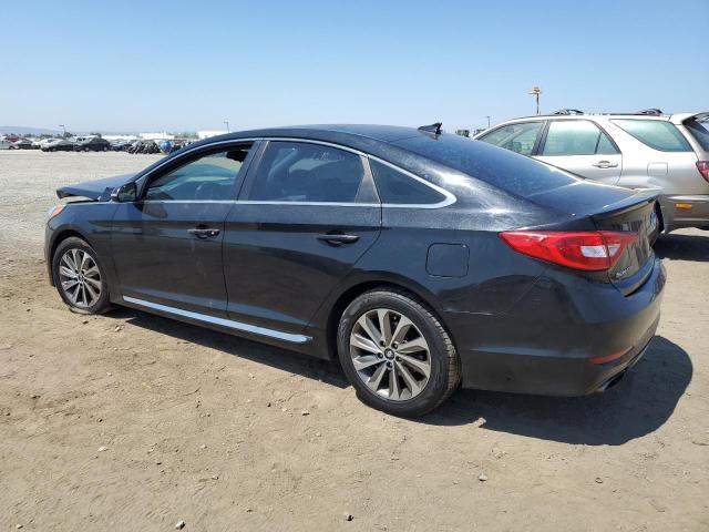 HYUNDAI SONATA SPO 2016 black sedan 4d gas 5NPE34AF6GH397377 photo #3