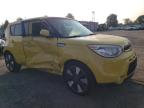 KIA SOUL ! photo