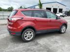 FORD ESCAPE SE photo