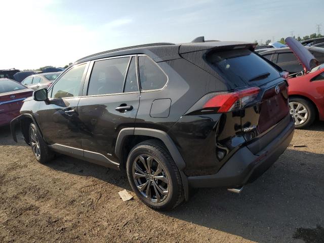 2023 TOYOTA RAV4 XLE P - JTMB6RFV2PD109688