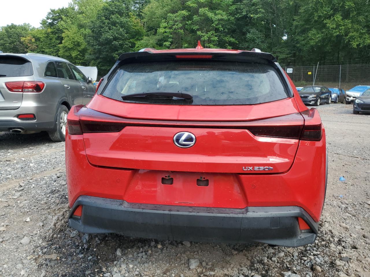 Lot #2962568772 2020 LEXUS UX 250H