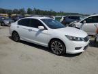 HONDA ACCORD SPO photo