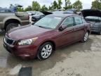 HONDA ACCORD EX photo