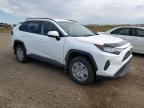 TOYOTA RAV4 LE photo