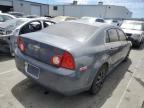 CHEVROLET MALIBU LS photo