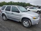 FORD ESCAPE XLT photo