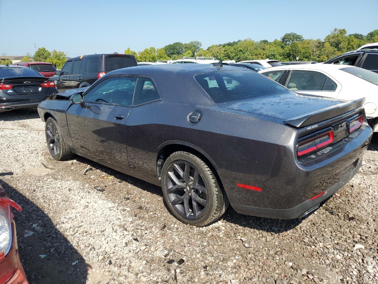 Lot #2826414123 2023 DODGE CHALLENGER