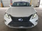 LEXUS ES 300H photo