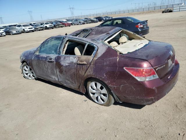 2010 HONDA ACCORD EXL 1HGCP2F80AA196231  68182384