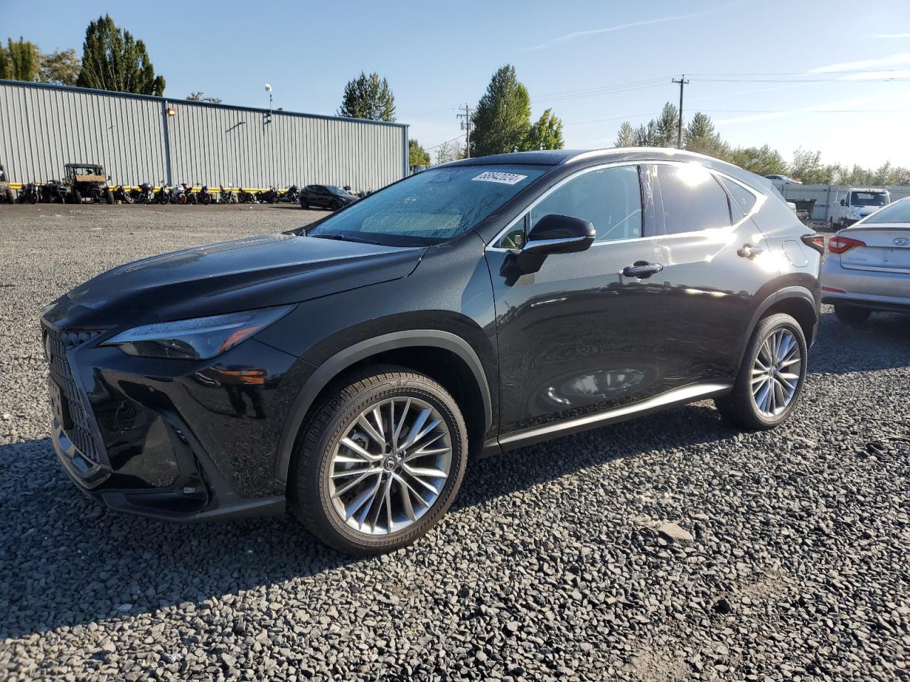 Lexus NX 2024 Luxury