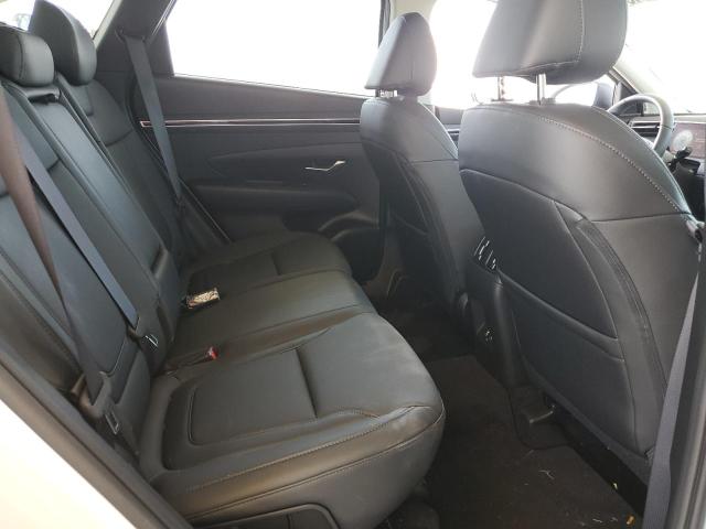 2024 HYUNDAI TUCSON SEL - 5NMJF3DE9RH379023