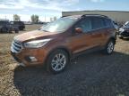 FORD ESCAPE SE photo