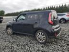 KIA SOUL + photo