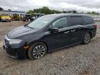 HONDA ODYSSEY EX photo