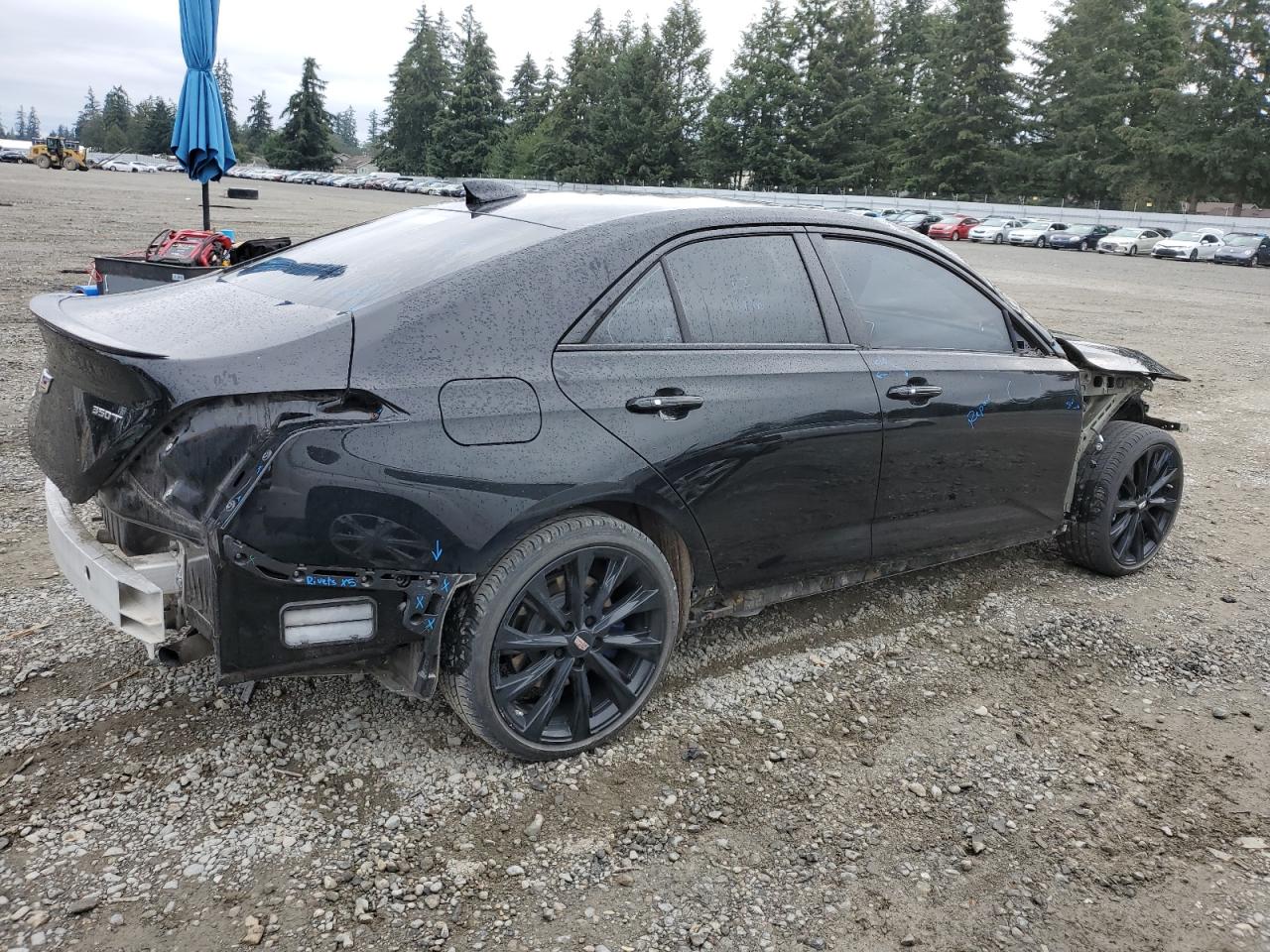 Lot #2909152336 2021 CADILLAC CT4 SPORT