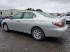 LEXUS ES 300 photo