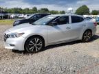 Lot #3025114184 2017 NISSAN MAXIMA 3.5