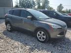 FORD ESCAPE SE photo