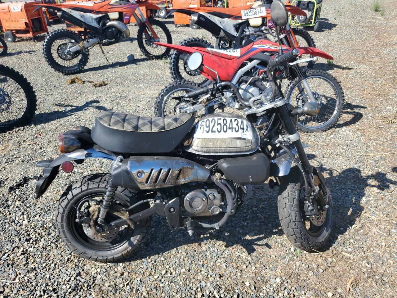 Honda Monkey 2024 Z125MA