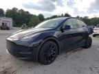 2023 TESLA MODEL Y - 7SAYGDEE8PF938501