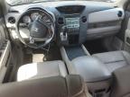 HONDA PILOT EXL photo