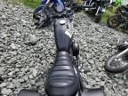 Lot #3036860051 2019 HARLEY-DAVIDSON XL883 N