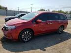 HONDA ODYSSEY EX photo