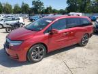 HONDA ODYSSEY EL photo