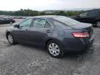 TOYOTA CAMRY BASE photo