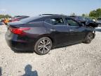 Lot #2938376710 2017 NISSAN MAXIMA 3.5