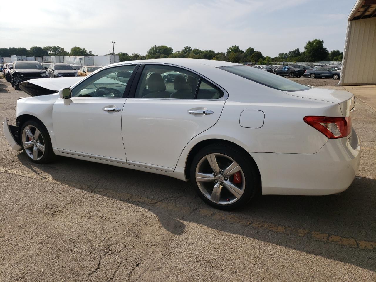 Lot #2845881158 2008 LEXUS ES 350