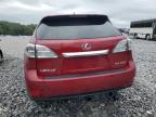 LEXUS RX 350 photo