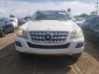 MERCEDES-BENZ ML 350 photo