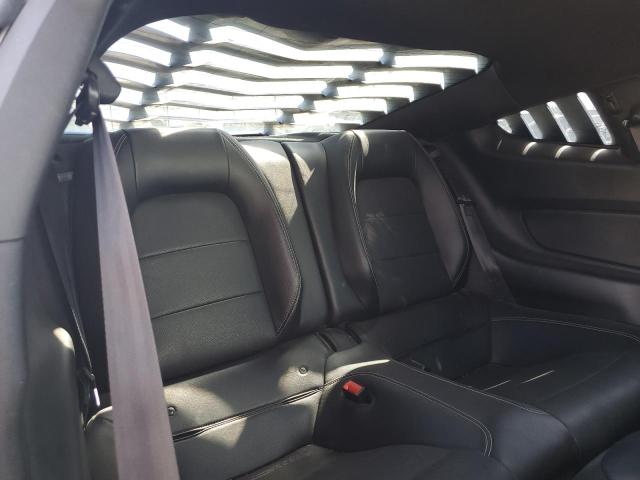 2019 FORD MUSTANG - 1FA6P8TH3K5151528