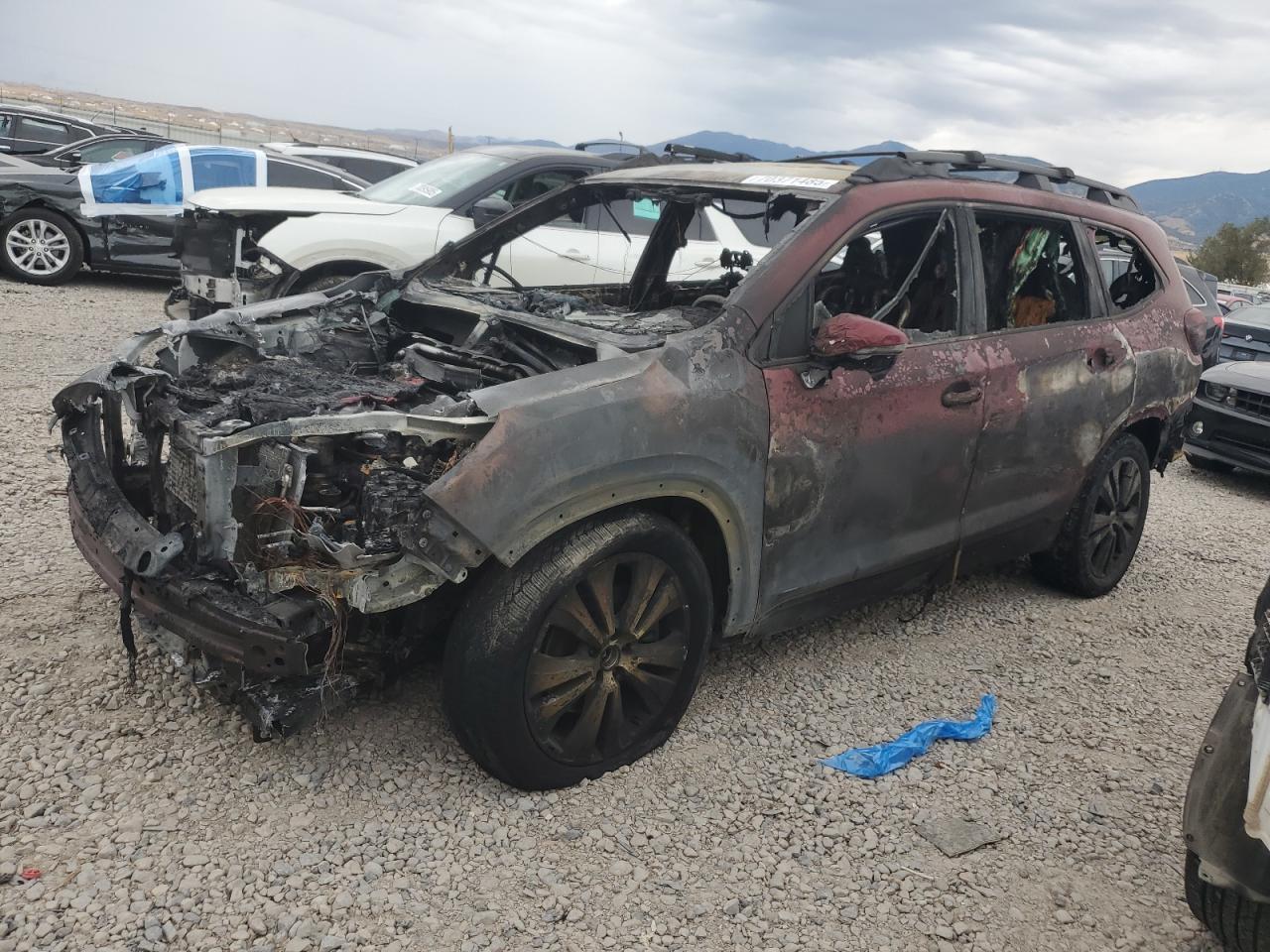 SUBARU ASCENT LIMITED