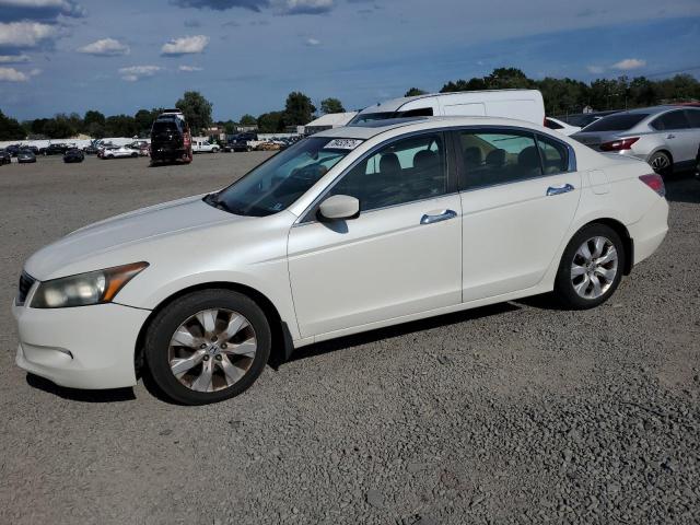 HONDA ACCORD EXL 2010 white  gas 1HGCP3F87AA005085 photo #1