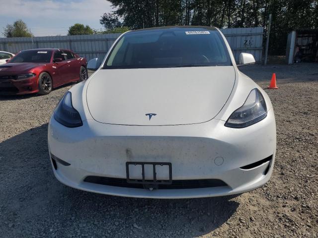 2023 TESLA MODEL Y - 7SAYGAEE2PF812908
