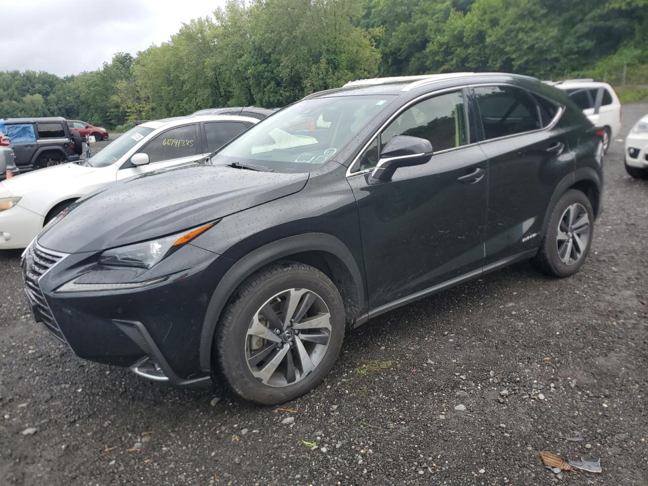 LEXUS NX 300H
