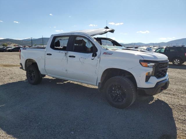 2025 CHEVROLET SILVERADO K1500 TRAIL BOSS CUSTOM 3GCPKCEK1SG167891