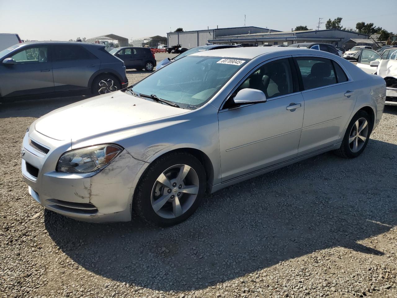 CHEVROLET MALIBU 1LT