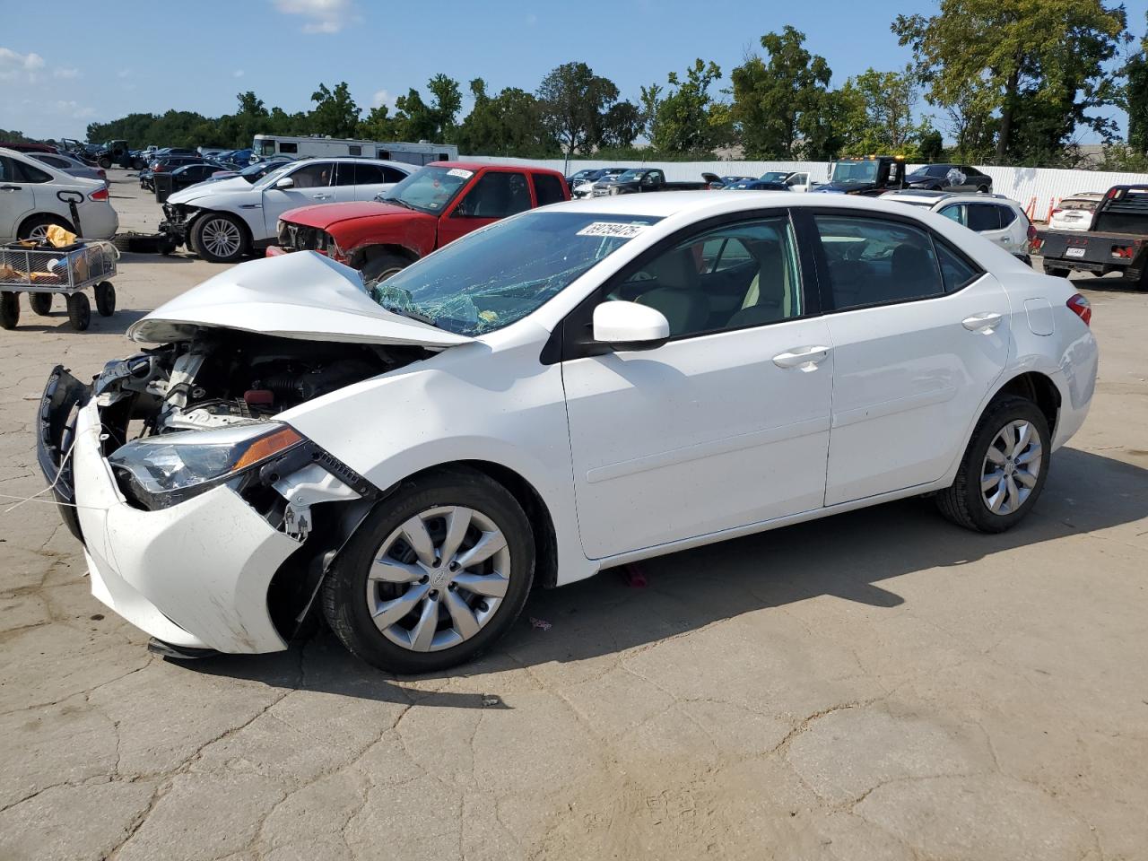 TOYOTA COROLLA L
