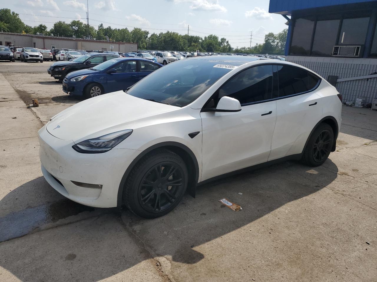 TESLA MODEL Y
