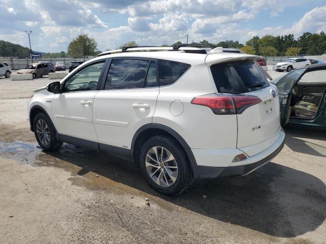 2017 TOYOTA RAV4 HV LE JTMRJREV2HD066096