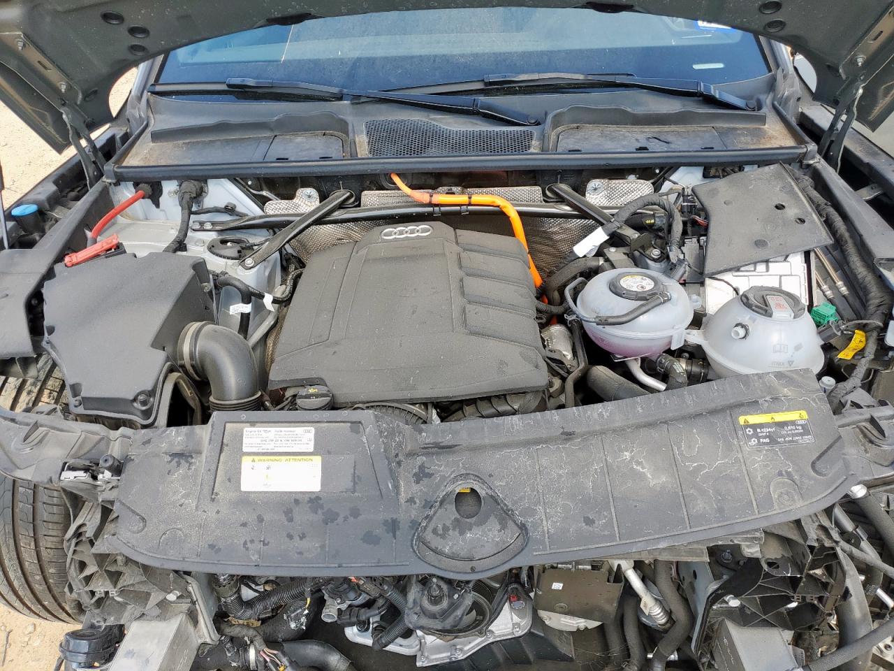 AUDI Q5 PREMIUM PLUS 55