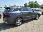 Lot #3317007224 2025 KIA SORENTO LX