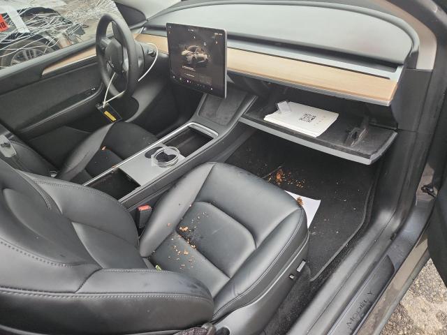 2023 TESLA MODEL Y 7SAYGDEFXPF761538