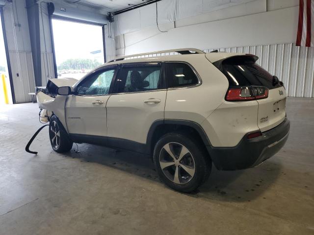 2019 JEEP CHEROKEE L - 1C4PJMDX3KD135432