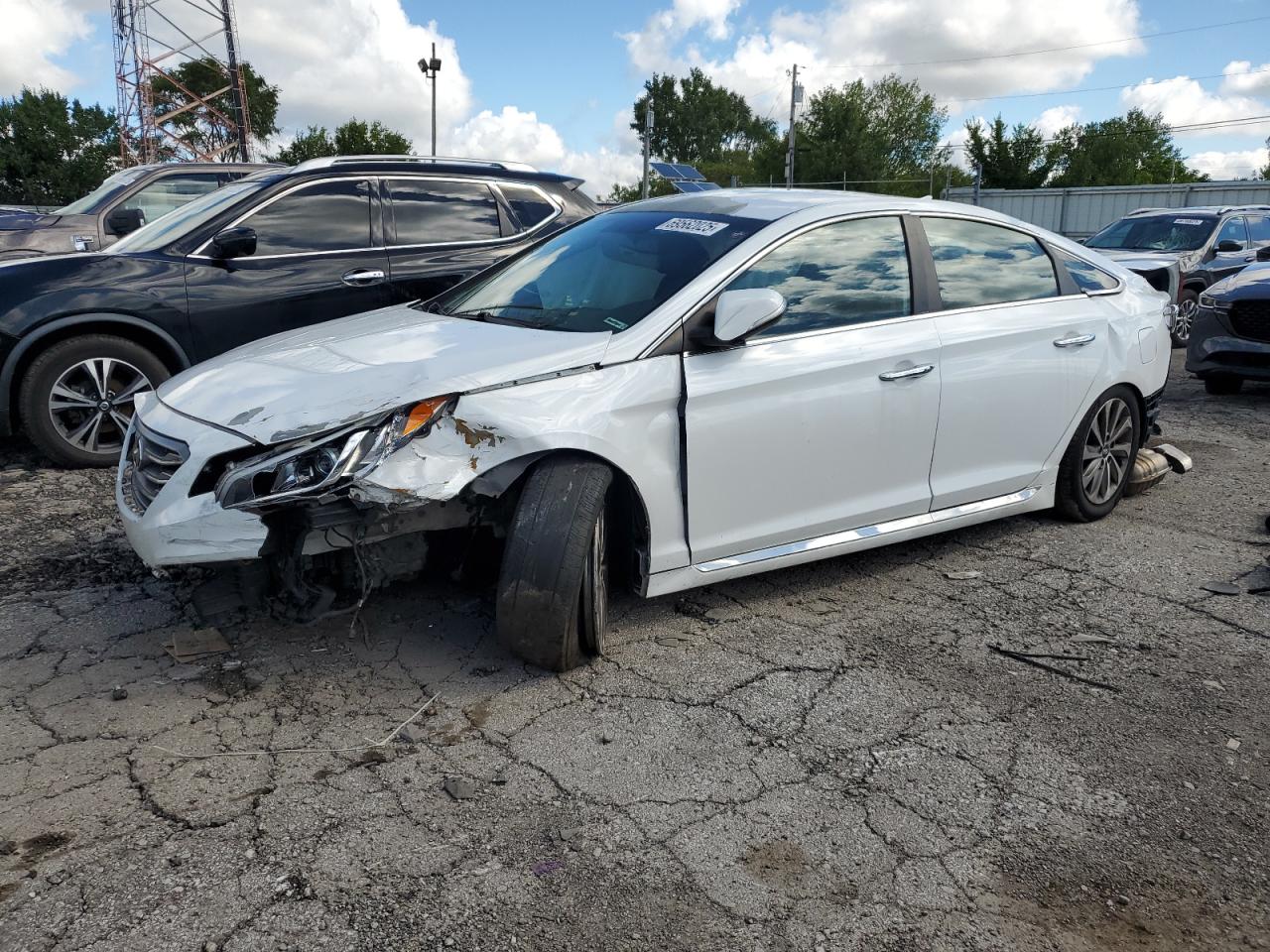 Lot #3260673688 2016 HYUNDAI SONATA SPO